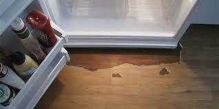 Refrigerator Door Leaks