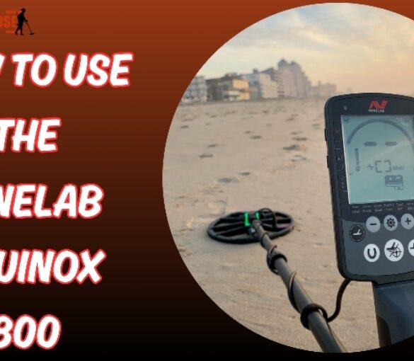 Minelab Equinox 800