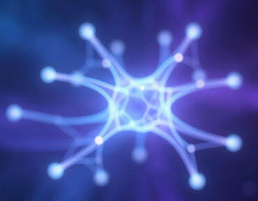 How to finetune Llama for customer support without losing brand tone