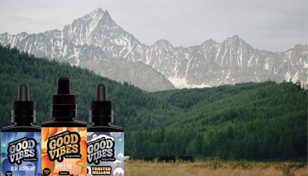 Can Weed Therapy Help Improve Wellness and Relieve Stress