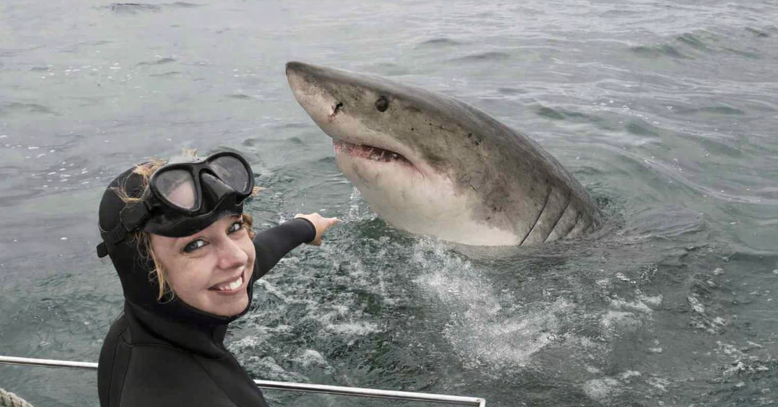 The Unexpected Truth About Diving in Cape Town