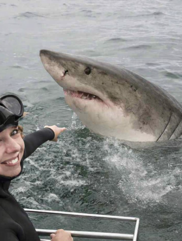 The Unexpected Truth About Diving in Cape Town
