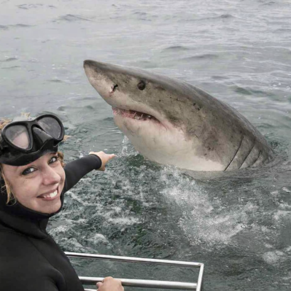 The Unexpected Truth About Diving in Cape Town