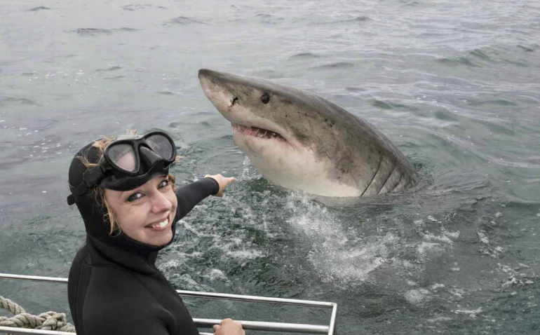 The Unexpected Truth About Diving in Cape Town