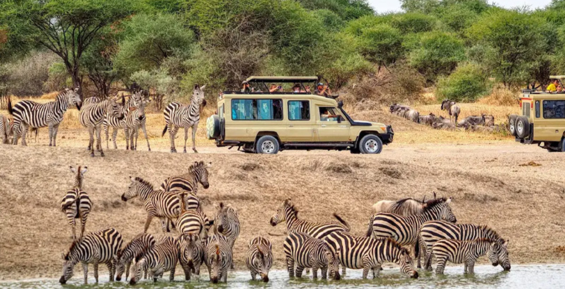 Wild Sands, Big Safari Dreams, and Ocean Love: Tanzania Safari Holidays with Zanzibar Resorts and Zanzibar Honeymoon Escape