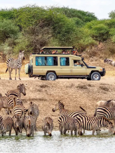 Wild Sands, Big Safari Dreams, and Ocean Love: Tanzania Safari Holidays with Zanzibar Resorts and Zanzibar Honeymoon Escape