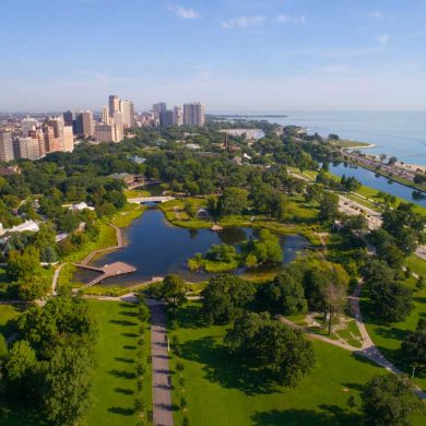 Why Summer Is the Busiest Season for Movers in Chicago