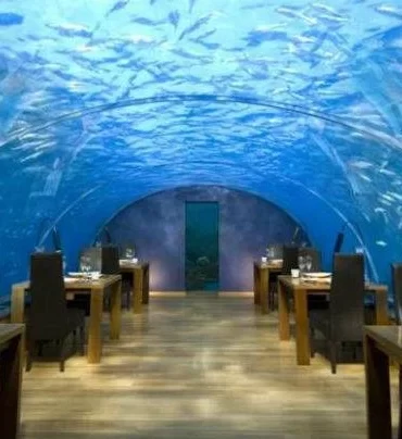 Dining Under the Sea: The Best Underwater Restaurant Experience in Bangalore