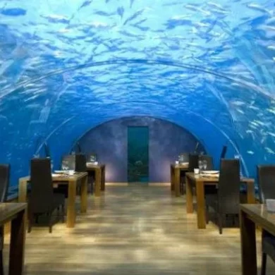 Dining Under the Sea: The Best Underwater Restaurant Experience in Bangalore