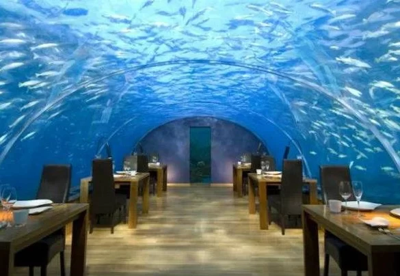 Dining Under the Sea: The Best Underwater Restaurant Experience in Bangalore
