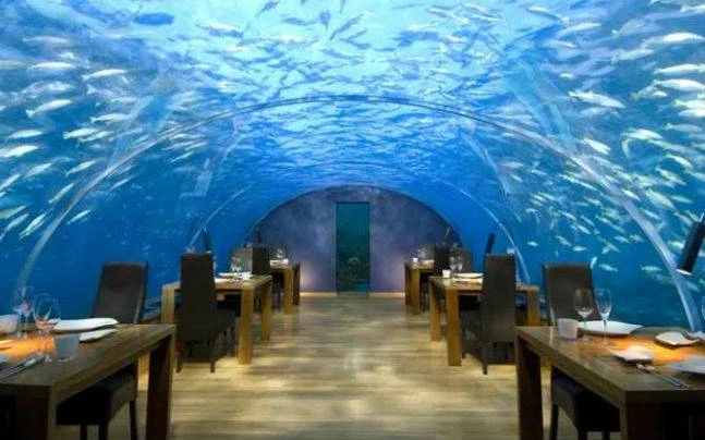 Dining Under the Sea: The Best Underwater Restaurant Experience in Bangalore