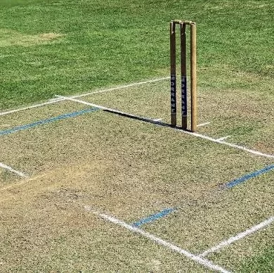 Everything You Need to Know About Cricket Creases and Lines