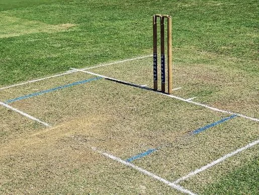 Everything You Need to Know About Cricket Creases and Lines