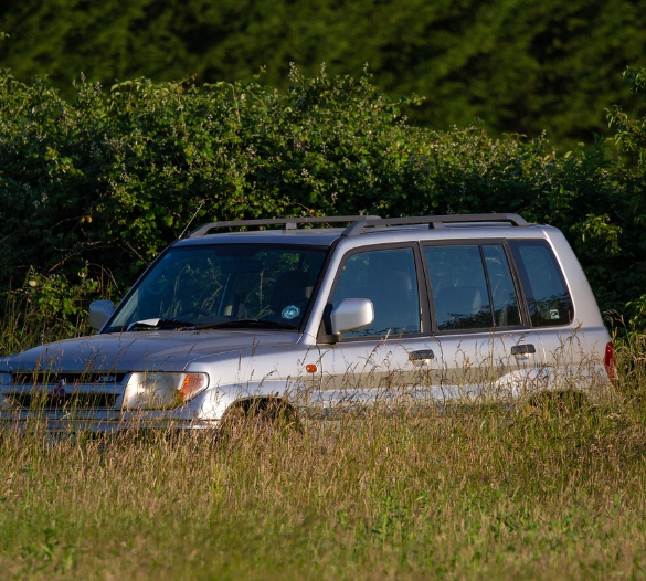 Safari and Car Hire in Rwanda: The Complete Guide to Renting a Car for an Unforgettable Adventure