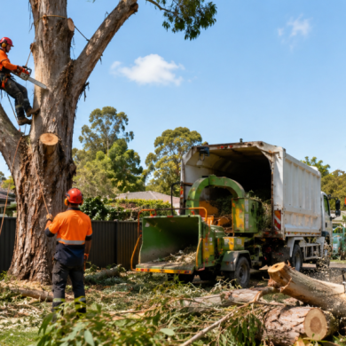 Tree Removal Cost Penrith