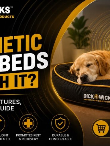 Are Magnetic Dog Beds Worth It? Benefits, Features, and Buying Guide 