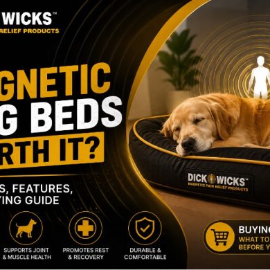 Are Magnetic Dog Beds Worth It? Benefits, Features, and Buying Guide 
