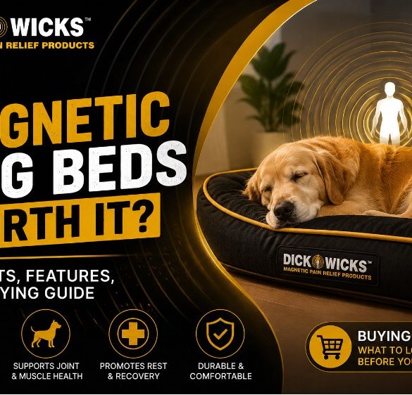 Are Magnetic Dog Beds Worth It? Benefits, Features, and Buying Guide 