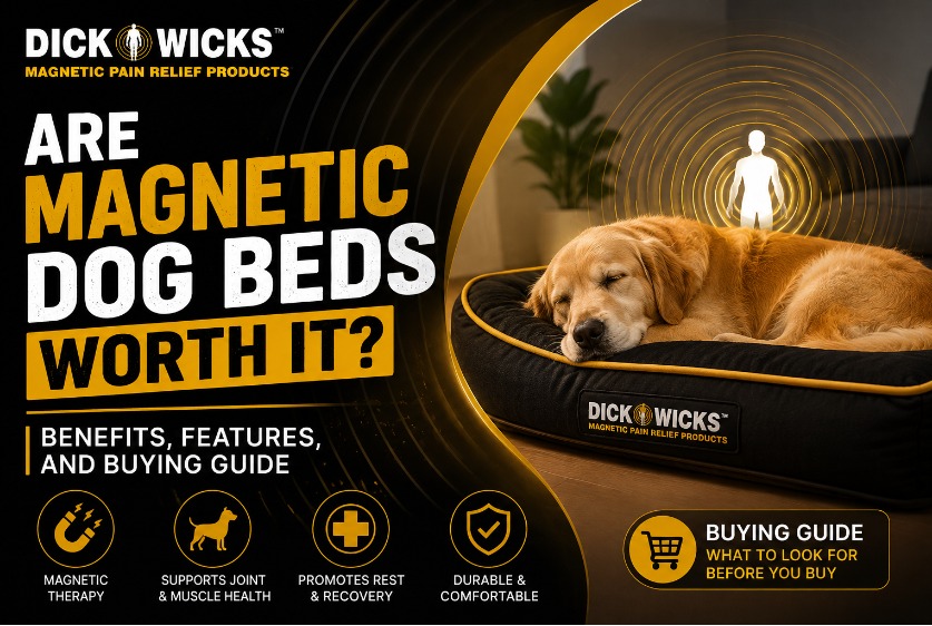 Are Magnetic Dog Beds Worth It? Benefits, Features, and Buying Guide 