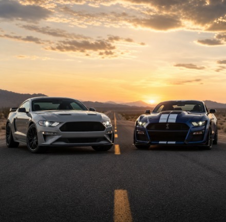 Mustang vs Shelby: Understanding the Real Differences Between Two American Icons