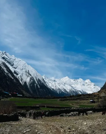 Manaslu Circuit Trek vs Kailash Mansarovar Tour vs Mera Peak Climbing (2026): Cost, Difficulty, Itinerary & Which Himalayan Adventure Should You Choose?