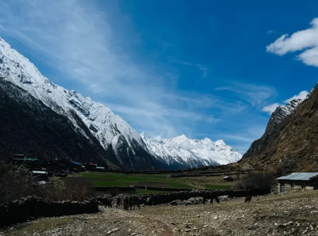 Manaslu Circuit Trek vs Kailash Mansarovar Tour vs Mera Peak Climbing (2026): Cost, Difficulty, Itinerary & Which Himalayan Adventure Should You Choose?