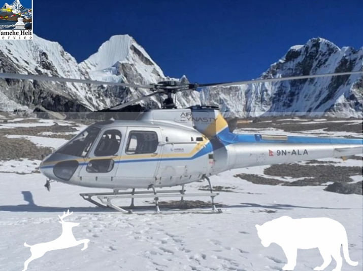 Everest Base Camp Trek with Helicopter Return: Cost, Route, Itinerary & Tips