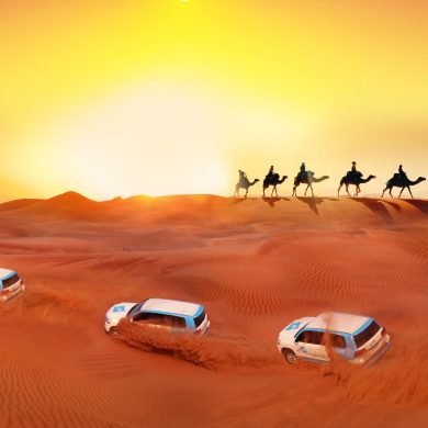 Best Evening Desert Safari Packages for a Great Dubai Experience