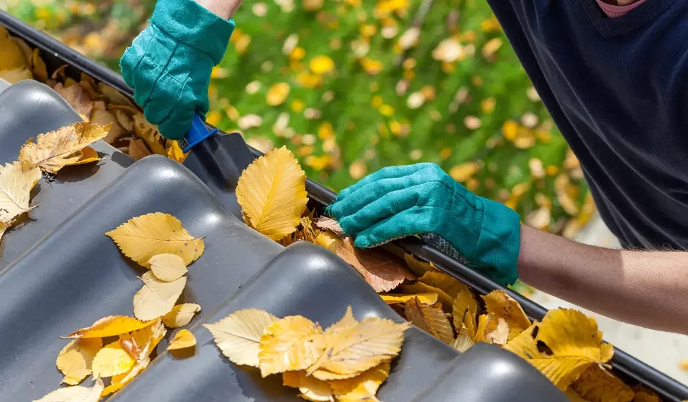A Practical Gutter Maintenance Plan for Homes with Mature Trees