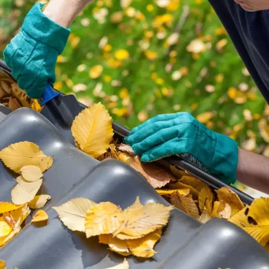 A Practical Gutter Maintenance Plan for Homes with Mature Trees
