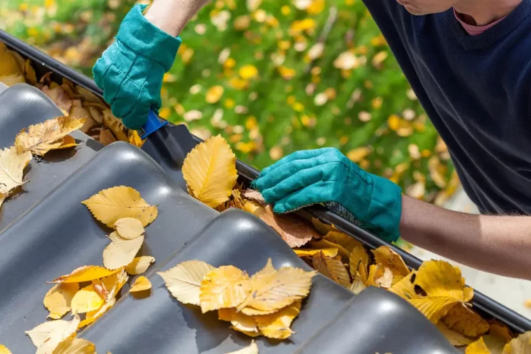 A Practical Gutter Maintenance Plan for Homes with Mature Trees